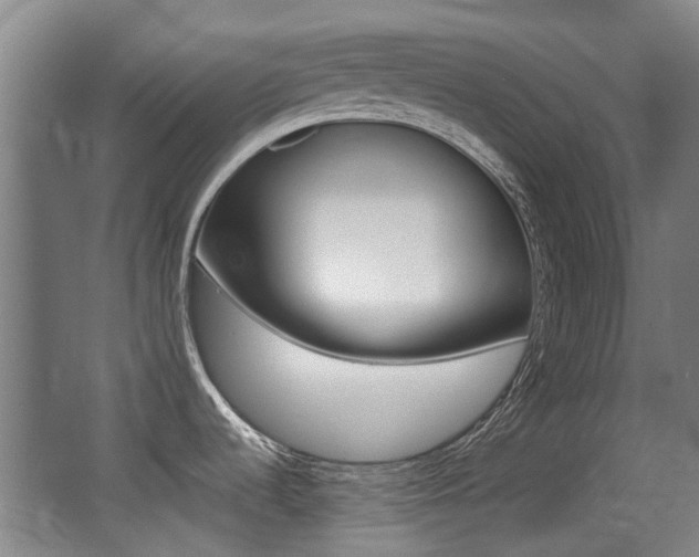 X0000062851536200601130907