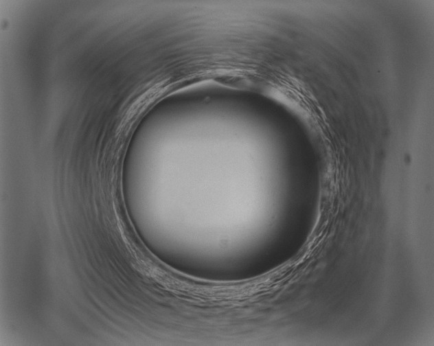 X0000062850001200601131402