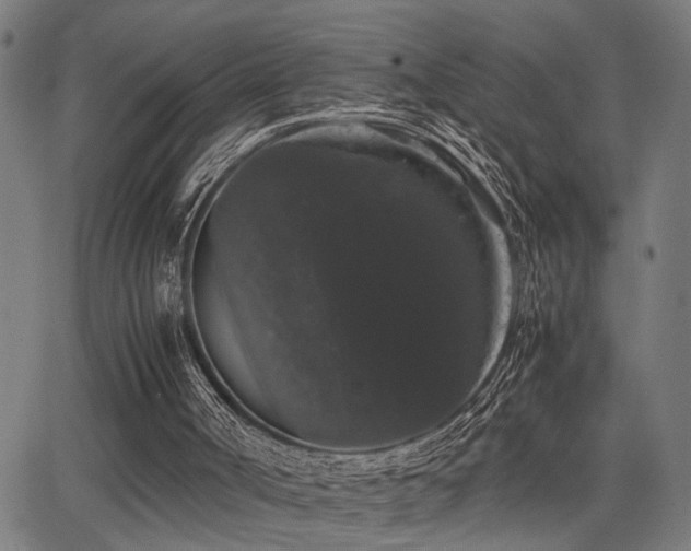 X0000062850002200601131402