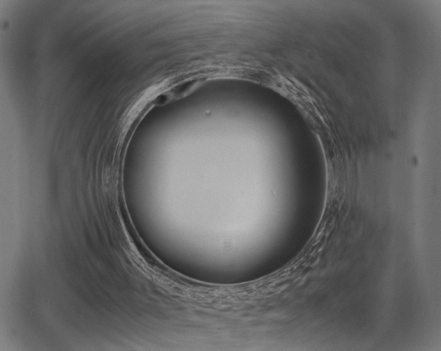 X0000062850003200601131402