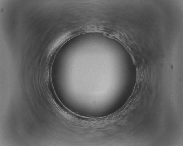 X0000062850005200601131402