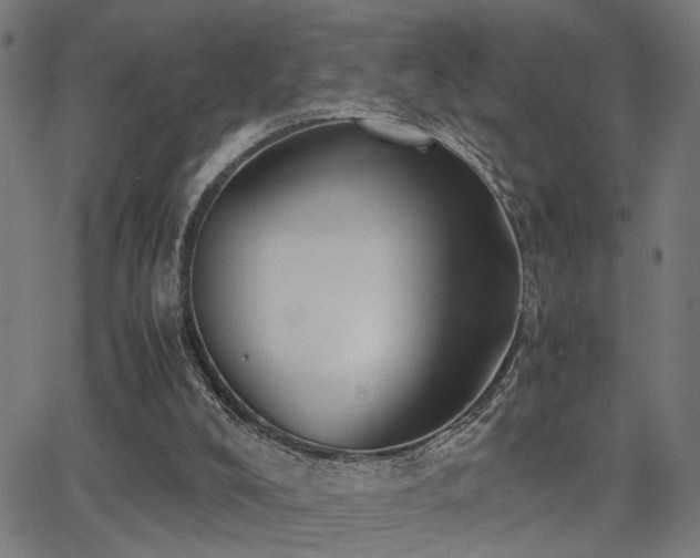 X0000062850008200601131401