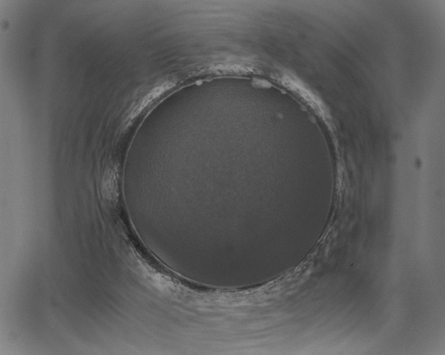 X0000062850009200601131401