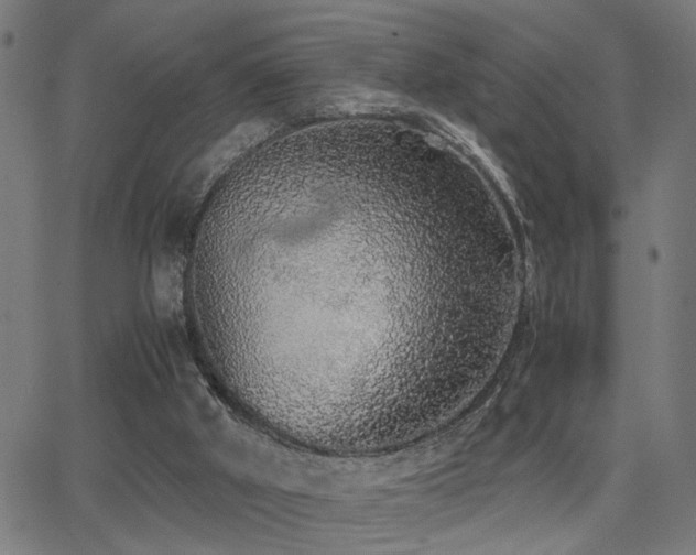 X0000062850010200601131401