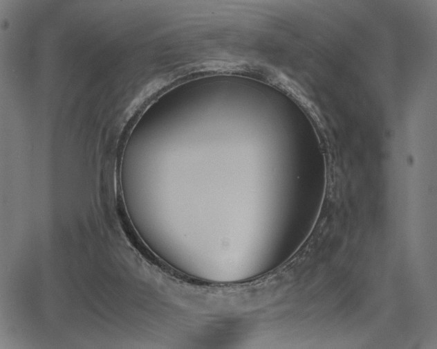 X0000062850011200601131401