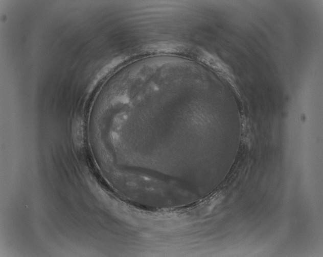 X0000062850012200601131401