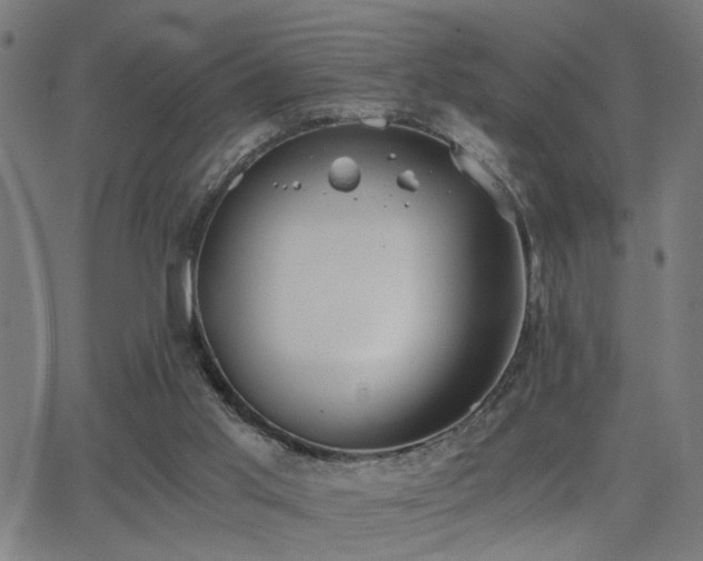 X0000062850013200601131401