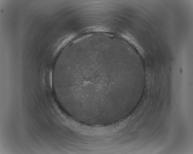 X0000062850014200601131401