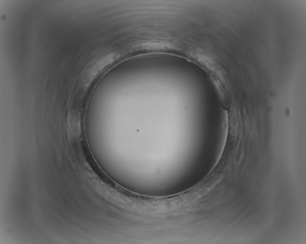 X0000062850015200601131401