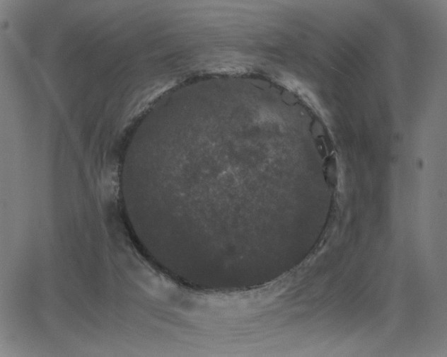 X0000062850017200601131401