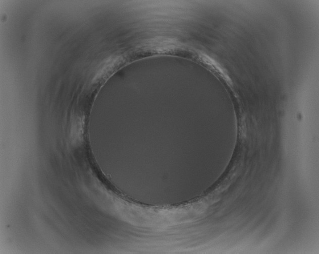 X0000062850018200601131401