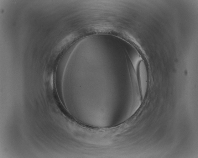 X0000062850019200601131401