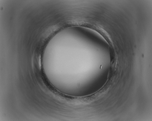 X0000062850020200601131401