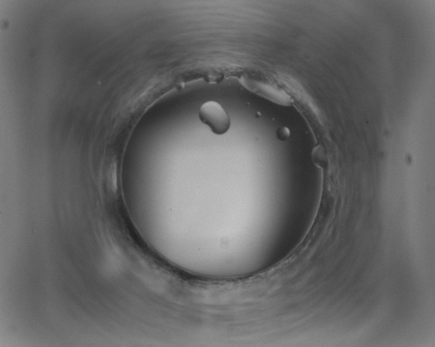 X0000062850021200601131401