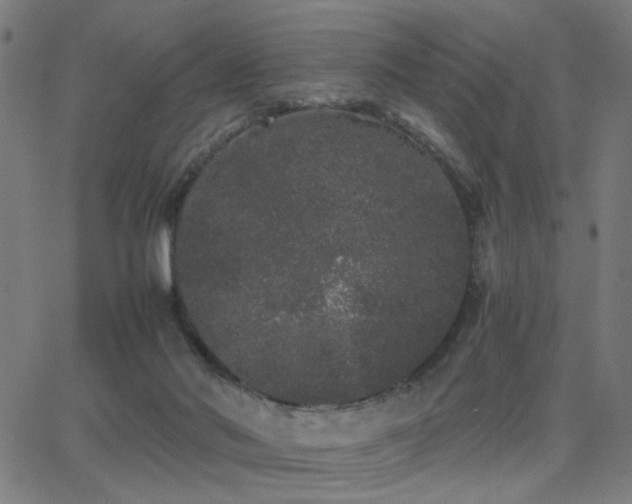 X0000062850022200601131401