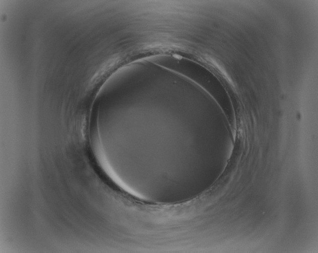 X0000062850023200601131401