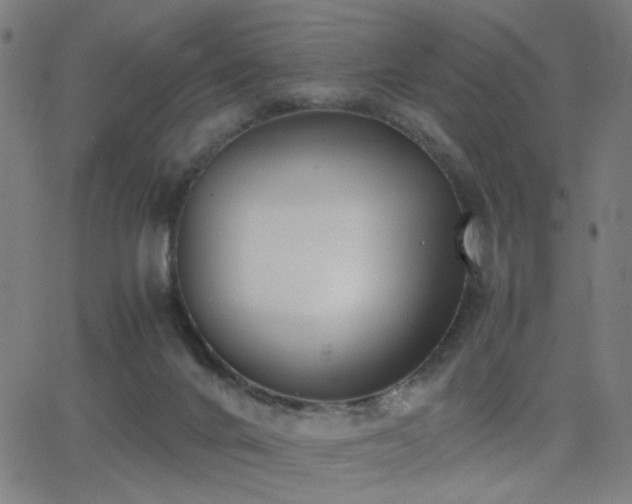 X0000062850024200601131401