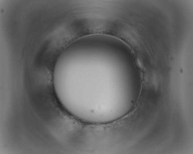 X0000062850025200601131401