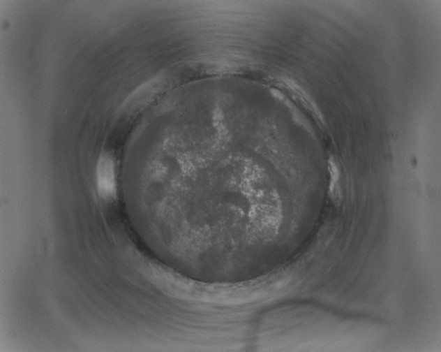 X0000062850026200601131401