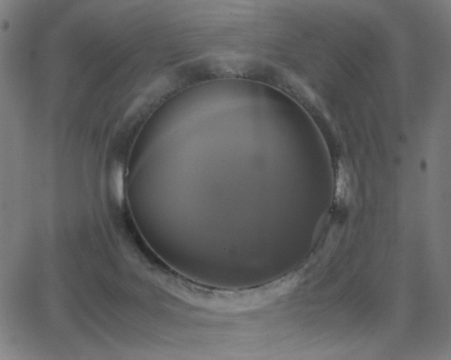 X0000062850027200601131401