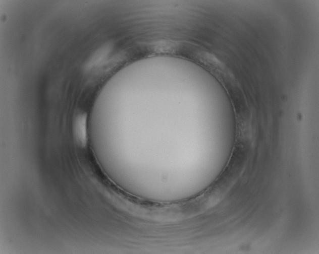 X0000062850028200601131401