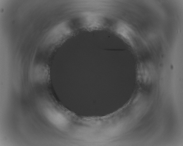 X0000062850029200601131401