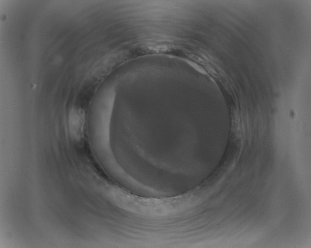 X0000062850030200601131401