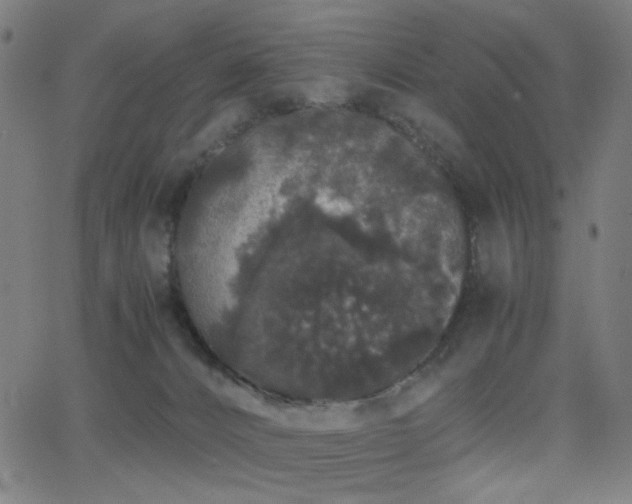 X0000062850032200601131401