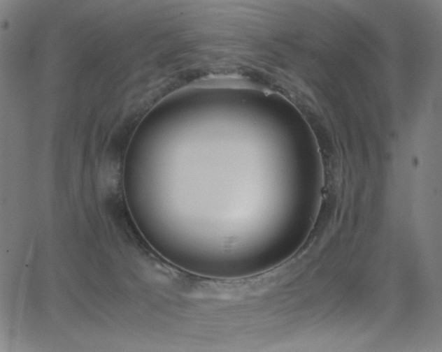 X0000062850033200601131401