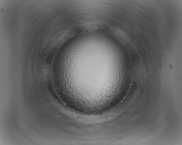 X0000062850034200601131401