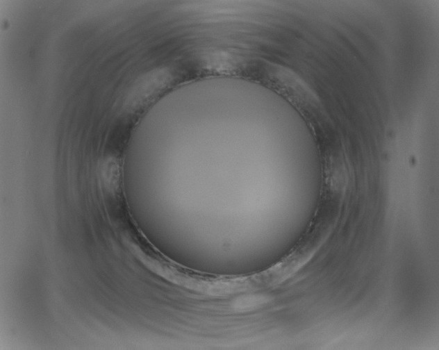 X0000062850036200601131401