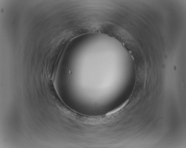 X0000062850037200601131401