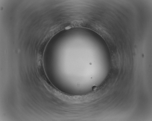 X0000062850038200601131401