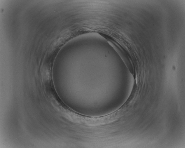 X0000062850039200601131401