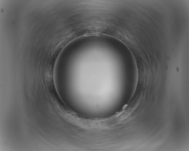 X0000062850040200601131401