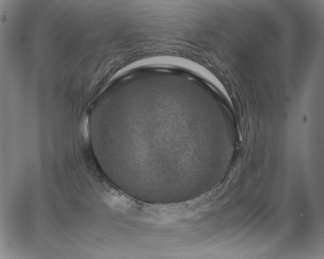 X0000062850041200601131401