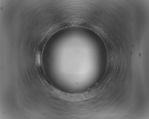 X0000062850042200601131401