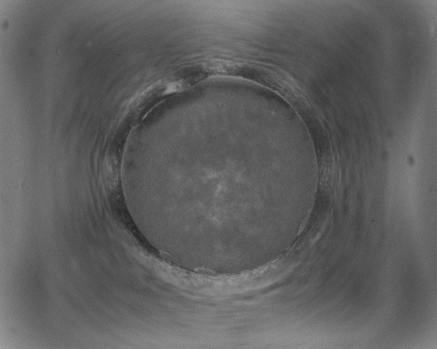 X0000062850043200601131401