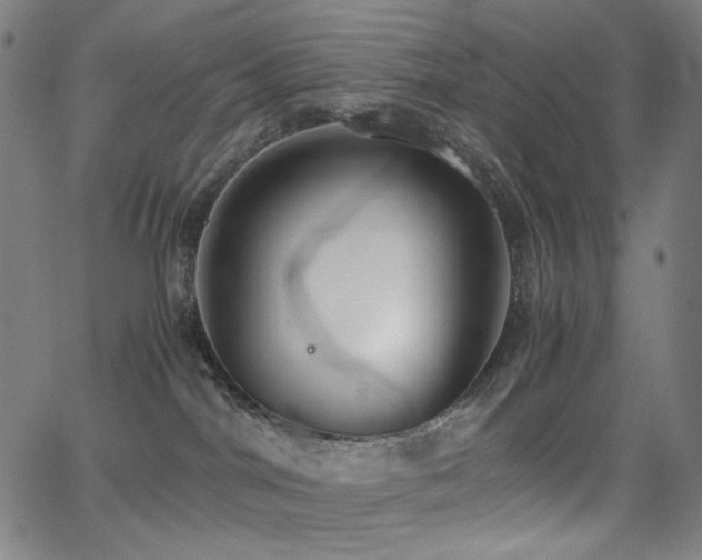 X0000062850044200601131401