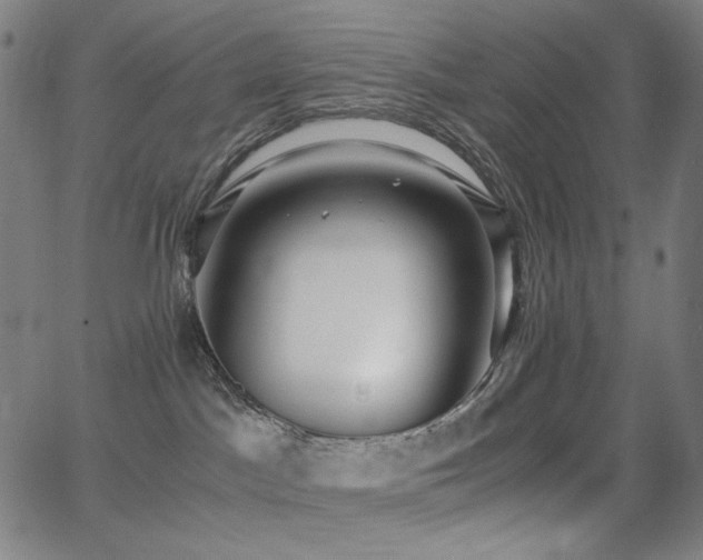 X0000062850045200601131401