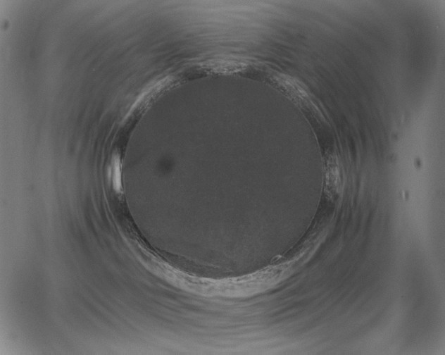 X0000062850046200601131401