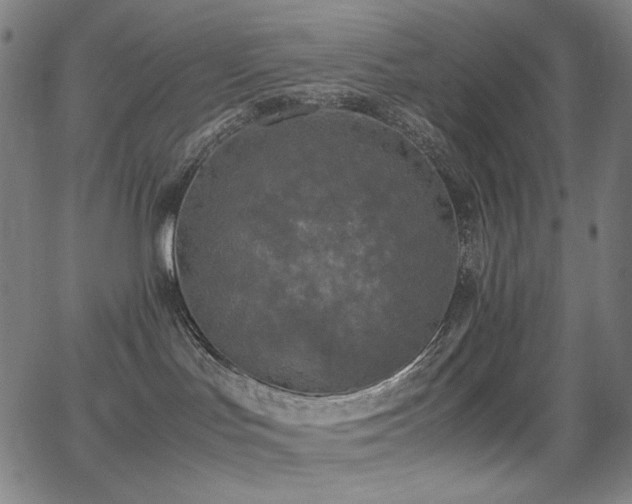 X0000062850047200601131401