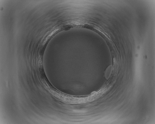 X0000062850048200601131401