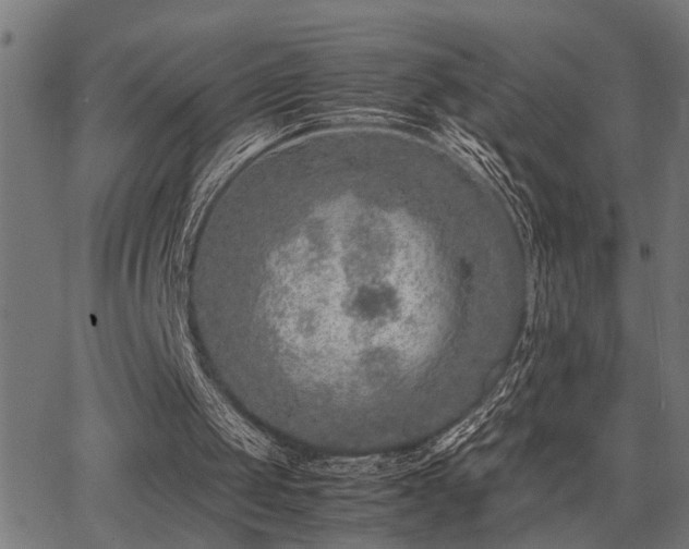 X0000062850049200601131400