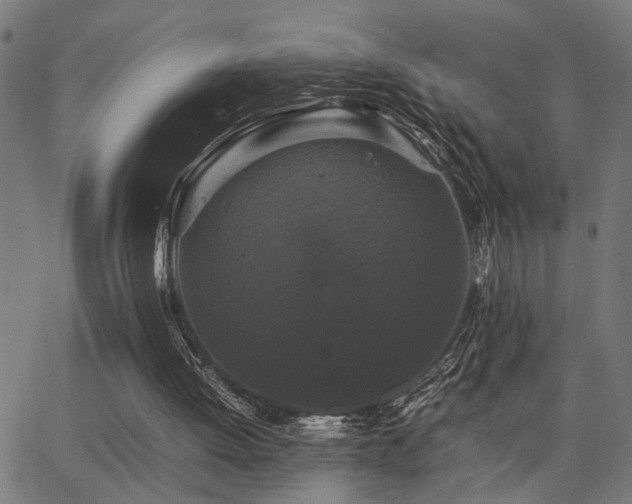 X0000062850052200601131400