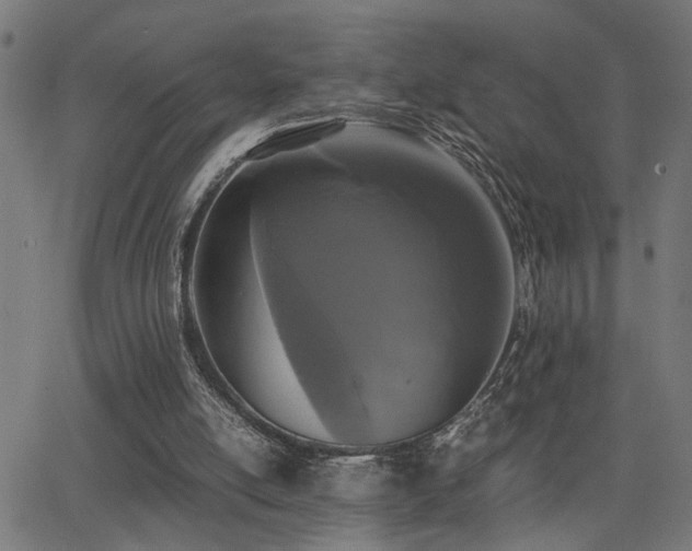 X0000062850054200601131400