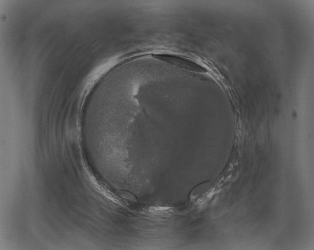 X0000062850055200601131400