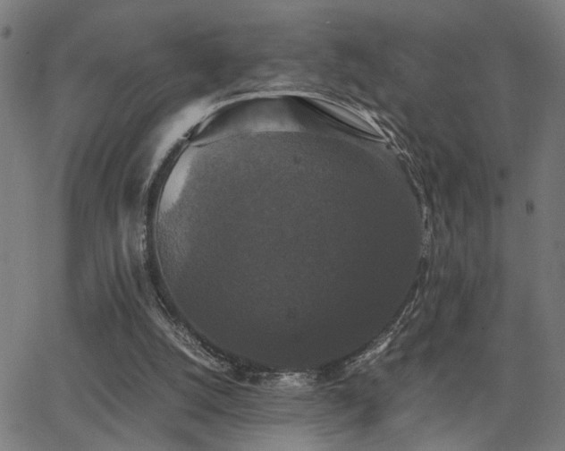 X0000062850056200601131400