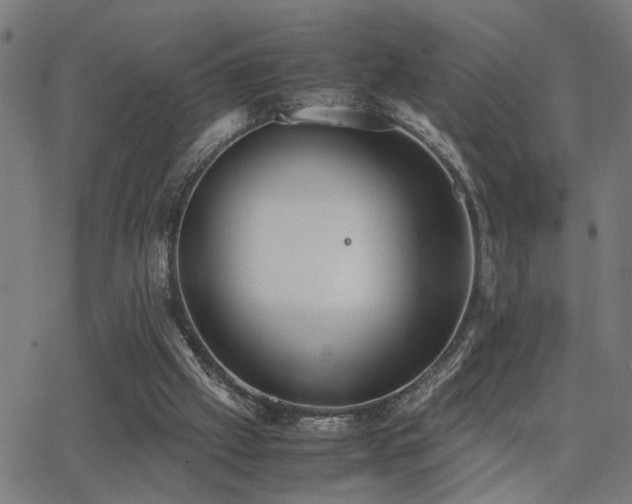 X0000062850057200601131400