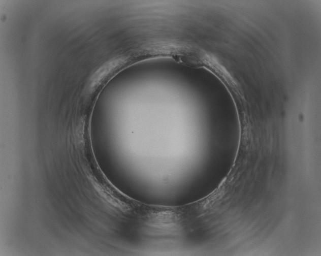 X0000062850058200601131400